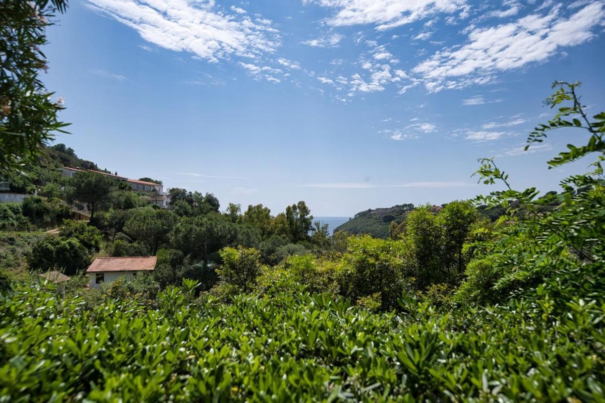 Alloggi Del Mirto A Morcone - Goelba Casa vacanze Capoliveri (Isola d'Elba)