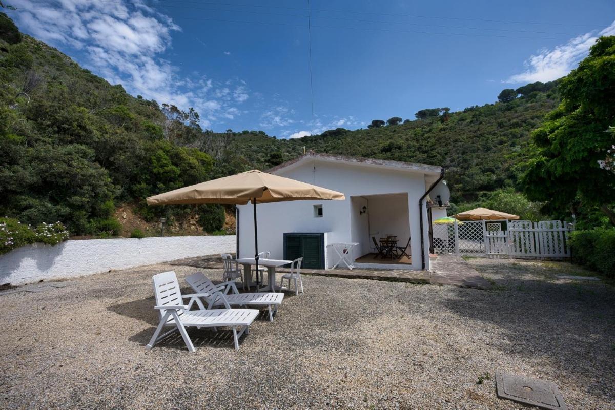 Casa vacanze Alloggi Del Mirto A Morcone - Goelba Capoliveri (Isola d'Elba)
