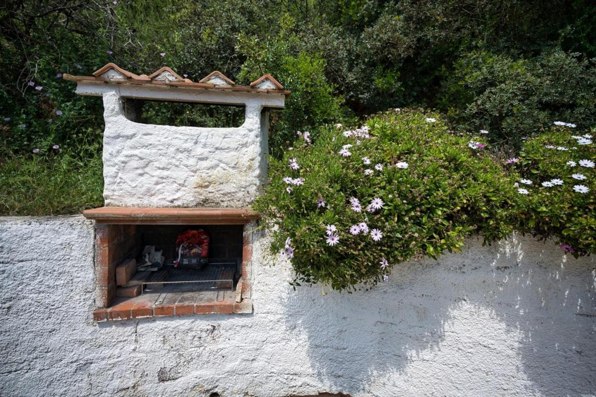 Casa vacanze Alloggi Del Mirto A Morcone - Goelba Capoliveri (Isola d'Elba)